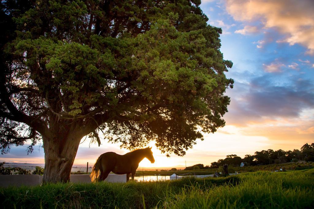 Landskroon Cottage Paarl Esterno foto